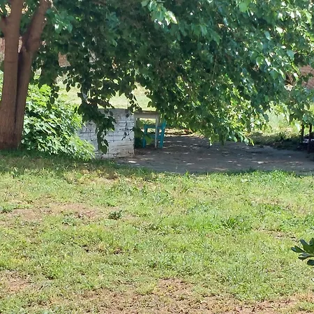 Small Budget Center דירה