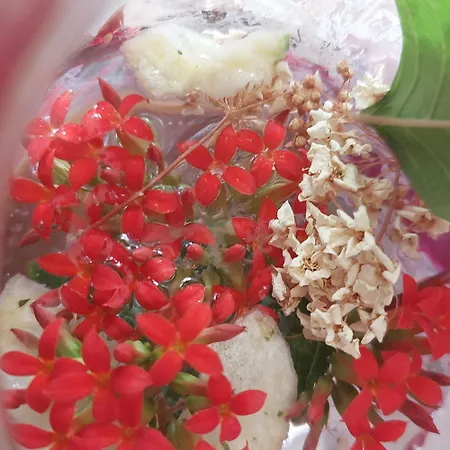 Daire Small Budget Center Selanik